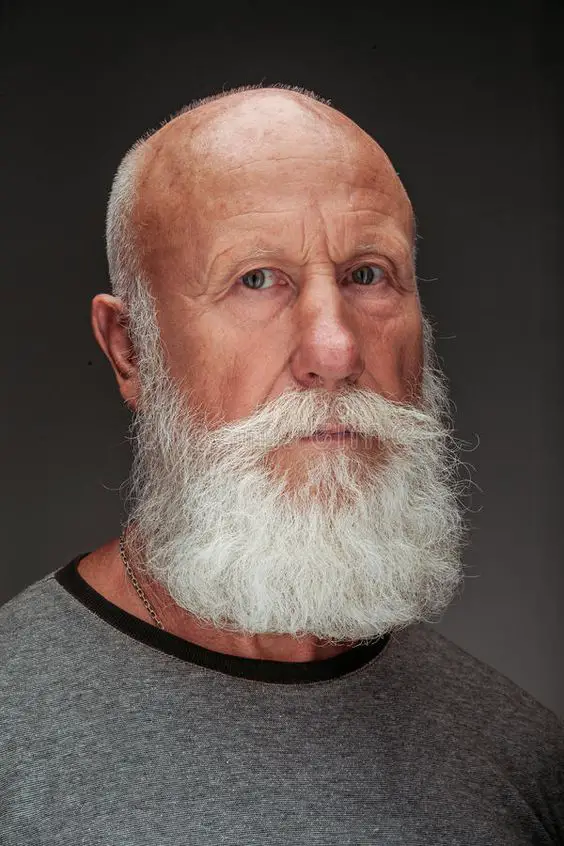 Men With White Beards 20 Ideas The Epitome Of Timeless Elegance And 