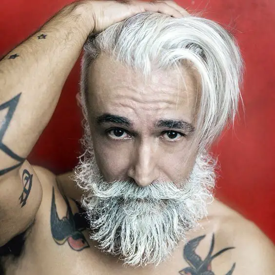 Bearded Men Silver Foxes 18 ideas: Embody your outstanding image - mens ...
